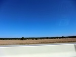 55778CIMG1567.JPG