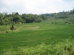 13799IMG_4062.JPG