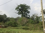 49786CIMG6123.JPG