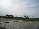 14391IMG_4733.JPG