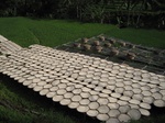 14683IMG_5064.JPG