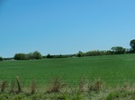 29983CIMG0655.JPG