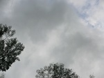 46198CIMG0487.JPG