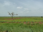 18852P1000692.JPG