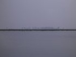 5852007-08-05_09-49-02_small.jpg