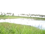 15490IMG_4560.JPG