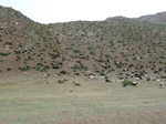 23550P1030425.JPG