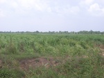 33468RIMG0208.JPG