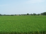 17574100_2511.JPG
