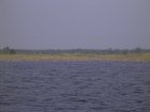 1503R0015201_small.jpg