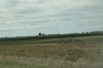 2022-11-18_14-47-28_8D718270-D726-4FBF-9A89-BCCF33321075.jpeg