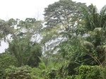 48377CIMG4714.JPG