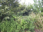496R0015042.jpg