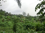 45342CIMG2427.JPG