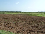 19305P1010151.JPG