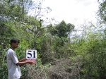 1051751-forest-remanant-degraded-iucn-b.gif