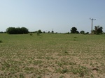 19130P1000975.JPG