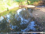31924IMG_5713.JPG