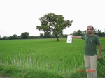 6006004c-irrigation(groundwater)-cotton-sorgum-rice-fruits-grasses.jpg