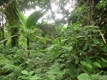 45766CIMG2851.JPG