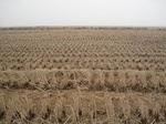 8531IMG_0357.JPG