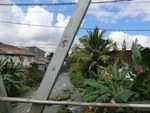 31089CIMG0951.JPG