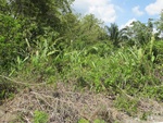 29544IMG_5145.JPG