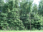 32322p58_s.jpg