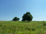 21656P1010482.JPG