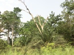 49736CIMG6073.JPG