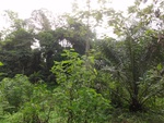 46631DSC01964.JPG