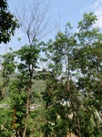 53766CIMG7166.JPG