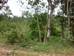 31689CIMG1557.JPG