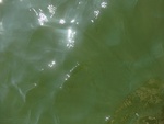 58142CIMG2497.JPG