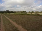 2012-09-03_20-32-43_IMG125.jpeg