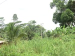 49281CIMG5618.JPG