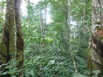 20025P1010875.JPG