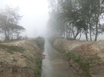 40296CIMG9039.JPG