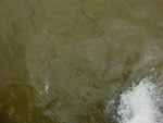 58085CIMG2379.JPG