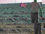11462020-abandoned-farm-saline-1b.jpg