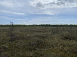 2025-05-21_10-09-16_IMG_7821.jpeg