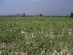 28270RIMG0272.JPG