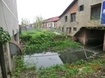 51764CIMG0010.JPG