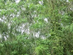 49523CIMG5860.JPG