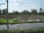 34390IMG_5306.JPG
