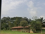49696CIMG6033.JPG