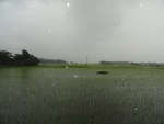 22086DSC00321.JPG