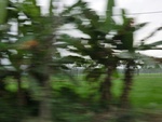 31372CIMG1234.JPG