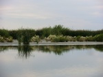 38609CIMG0141.JPG