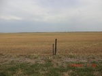 29816CIMG1210.JPG